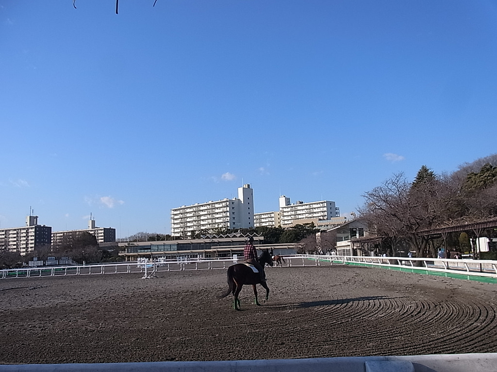 f:id:murakoshi5:20180328005827j:plain f:id:murakoshi5:20180328005827j:plain