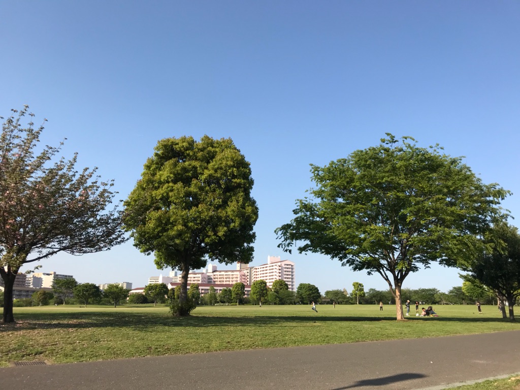 f:id:murakoshi5:20180702100110j:plain
