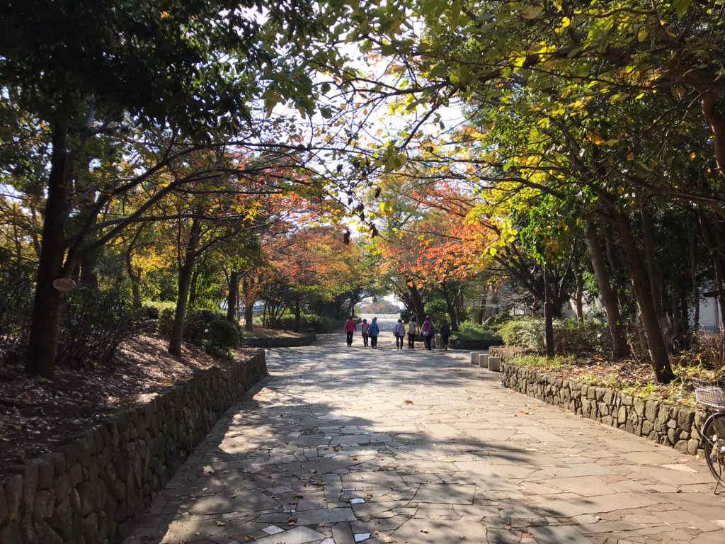 f:id:murakoshi5:20181127213214j:plain