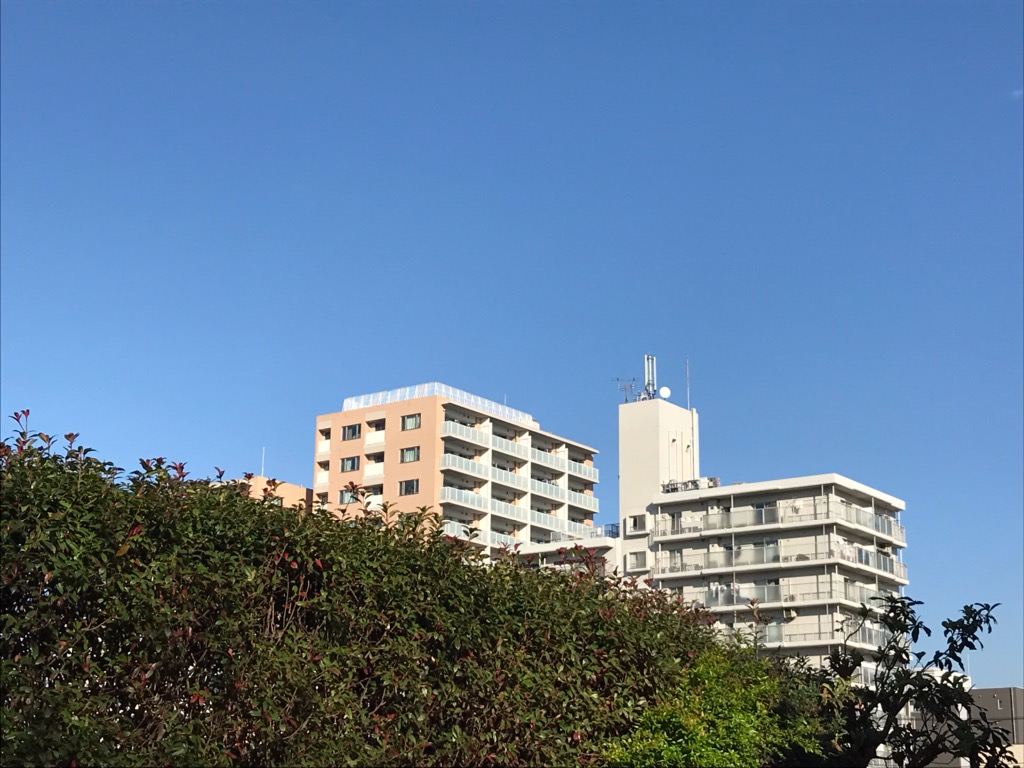 f:id:murakoshi5:20181224220354j:plain