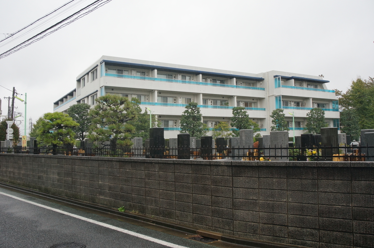 f:id:murakoshi5:20190601230455j:plain