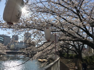 江東5区「主なマンションのリセールバリュー」コロナショック前夜（19年度下半期）