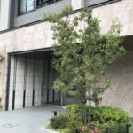 クレヴィア住吉扇橋　モデルルーム訪問　間取り　価格