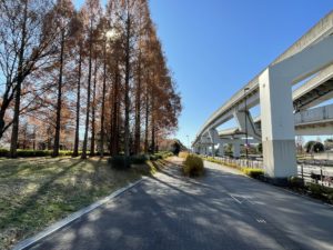 足立区「日暮里・舎人ライナー」沿線の中古マンション（後編）