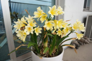 亡きオヤジが残してくれたもの