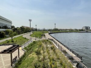 21年度江東5区、中古マンション相場まとめ　これから上がる街を予想！