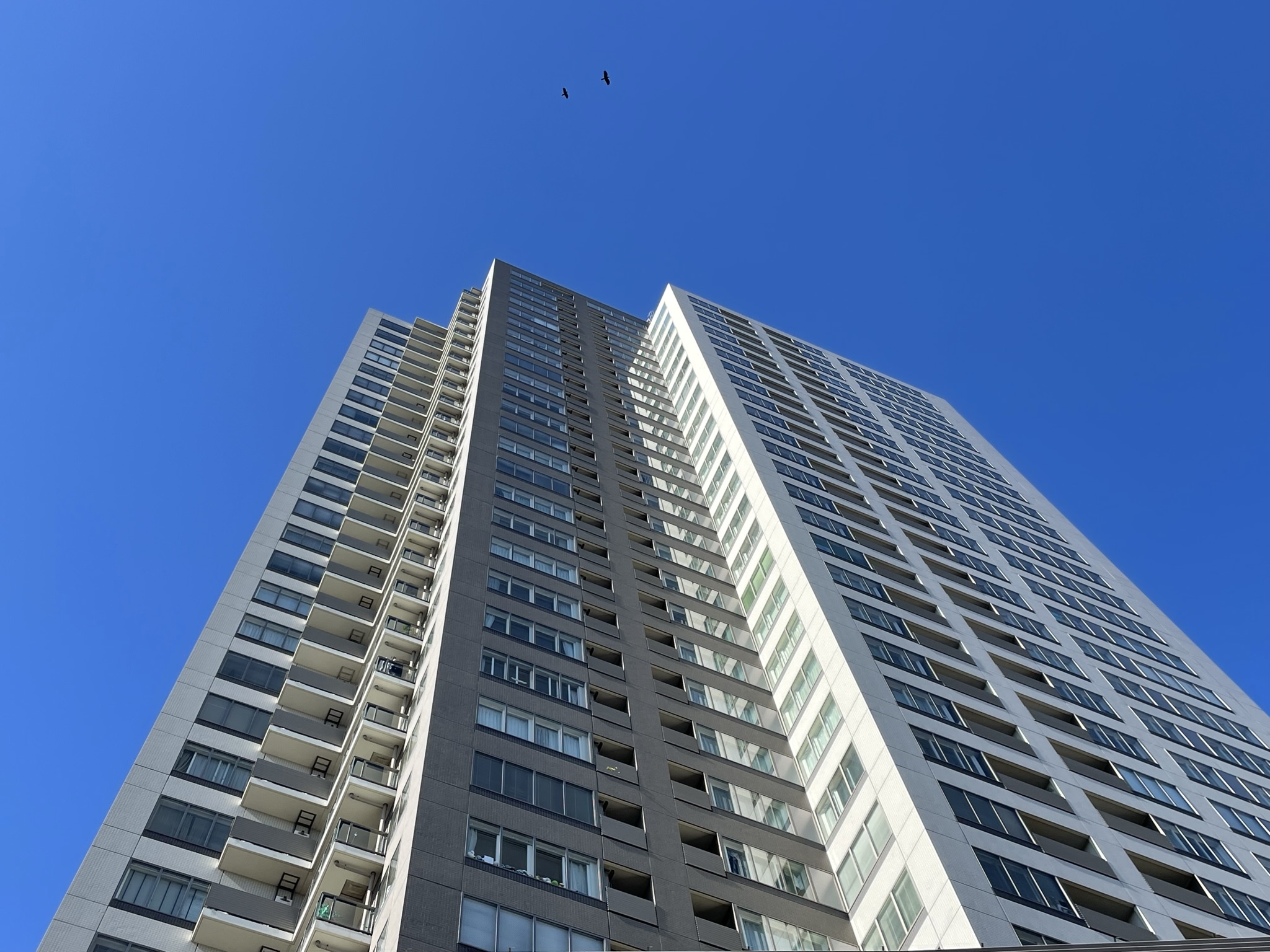 マンションを買い替える際「仮住まい無く新居に住み替える」一番シンプルな方法