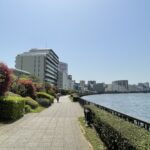 リビオ森下リバーテラス　間取り　予定価格