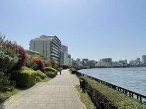 リビオ森下リバーテラス　間取り　予定価格