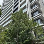 ルフォン船堀 ザ・タワーレジデンス モデルルーム訪問　価格　 間取り