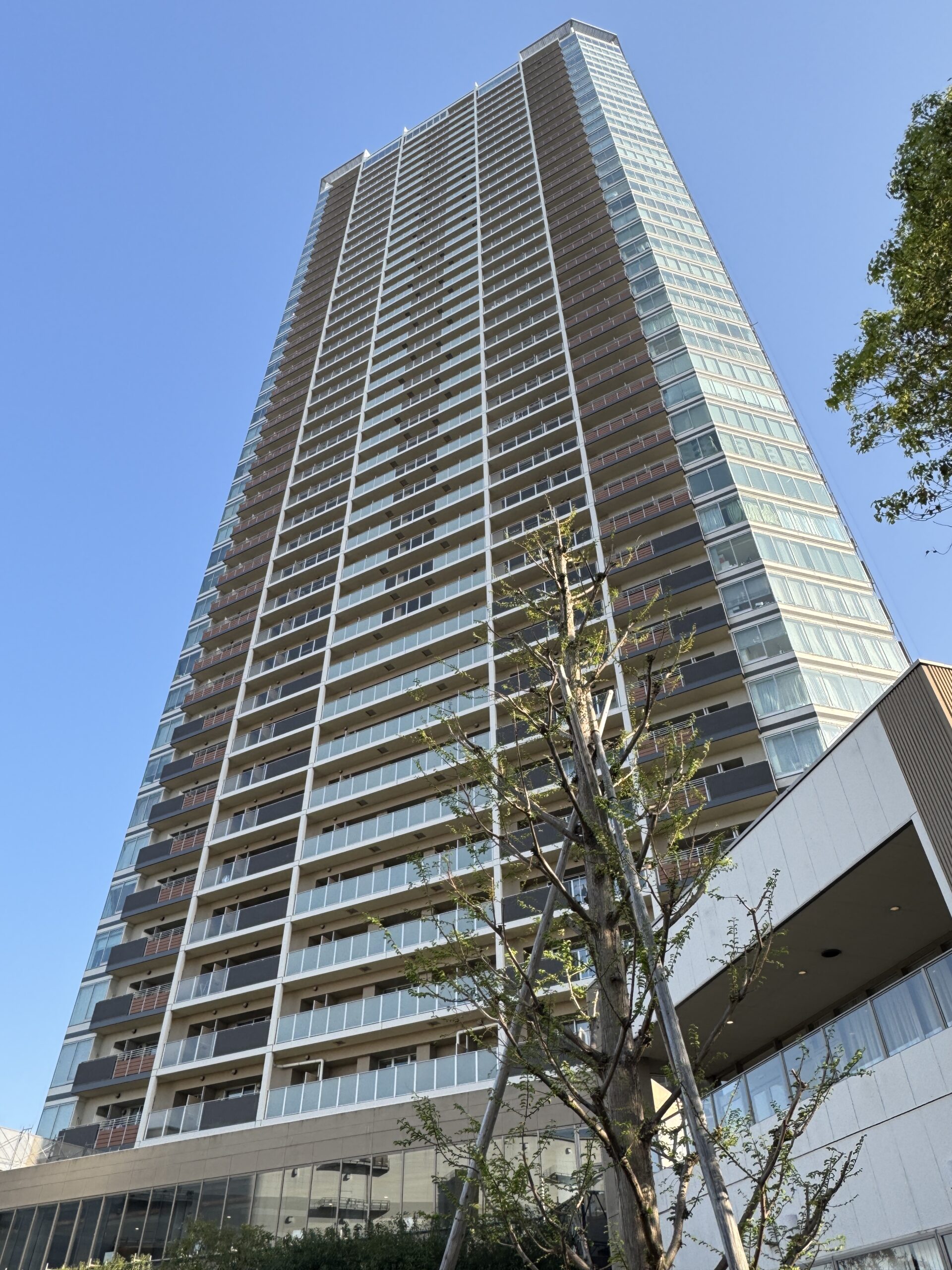 Amazon.co.jp: 【中古】 東北からみえる近世・近現代 さまざまな